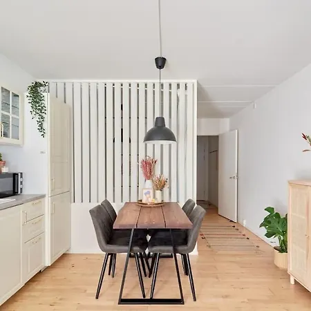 Luxury - Family Friendly - - Cozy- Balcony Kodaň